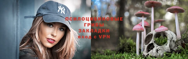 ешки Горнозаводск