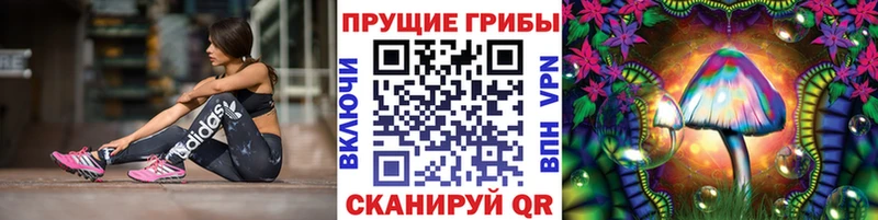 магазин продажи   Черногорск  Галлюциногенные грибы прущие грибы 